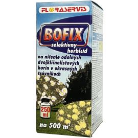 BOFIX 250ml