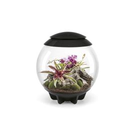 BiOrb Air Terrarium 60 - černé  60l