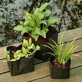 Kapsa na vodní rostliny 30x30x25 cm - 2ks