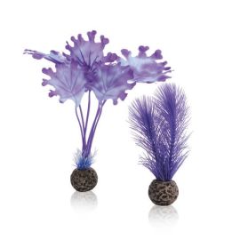 biOrb Purple Kelp Set 20 cm