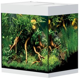 Oase StyleLine 85 akvárium bílé 85 l