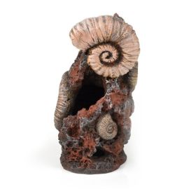 biOrb Ancient Conch Ornament 20 cm
