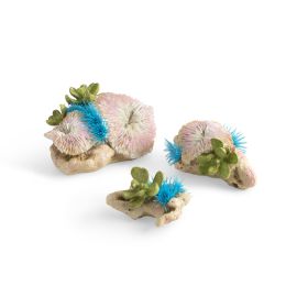 biOrb plate Corals & button polyp set - aquarium dekorace