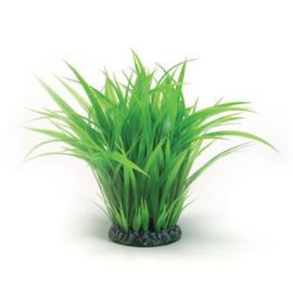 biOrb Grass Ring zelená 27 cm