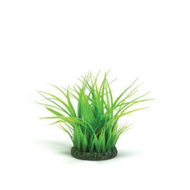 biOrb Grass Ring zelená 15 cm
