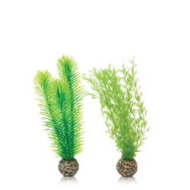 biOrb Green Feather Fern Set zelená 20,5 cm