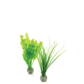 biOrb Plant Pack Set zelená 20 cm
