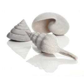 biOrb Sea Shells Decor Set bílé 12, 7, 5 cm