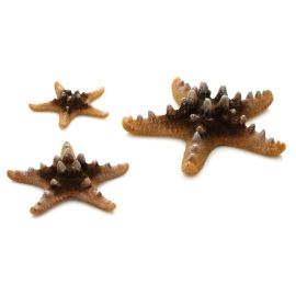 biOrb Sea Stars Set přírodní 10, 8 a 5 cm