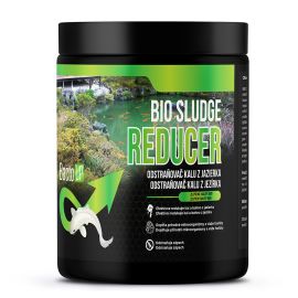 BactoUP  BIO Sludge reducer 500g