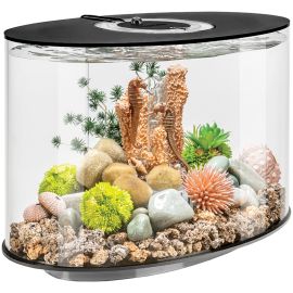 biOrb LOOP 30 LED black