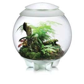 BiOrb Air Terrarium - bílá 60l
