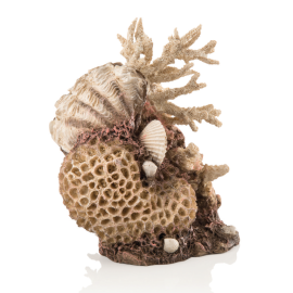 biOrb Coral-Shells Ornament natural 22 cm