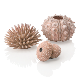 biOrb Sea Urchins Set natural