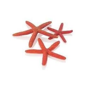 biOrb Star Fish Decor Set rudá 12, 10 a 8 cm
