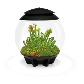 BiOrb Air 30 Terrarium - černé  30l