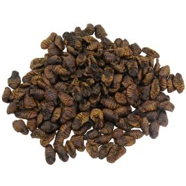 Silworms - Bource morušová 2,5l