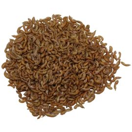 Healthy pond Gammarus - Sladkovodní garnáty 5L