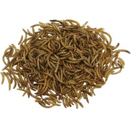 Healthy pond Mealworms - Mouční červi 5L